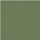 12 - VERDE OLIVA RAL 6011 